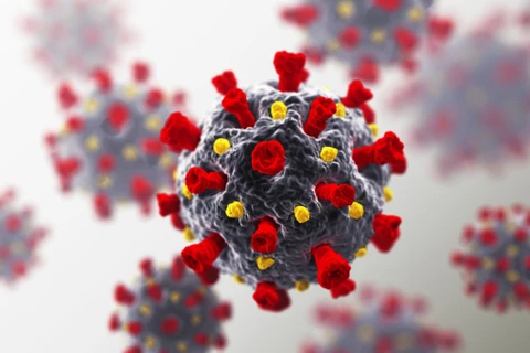 Các biến thể mới của virus SARS-CoV-2 có thể lây nhiễm ở chuột