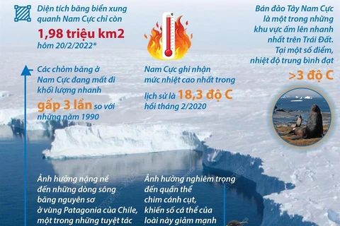 Diện tích băng biển Nam Cực xuống mức thấp nhất lịch sử trong 2022
