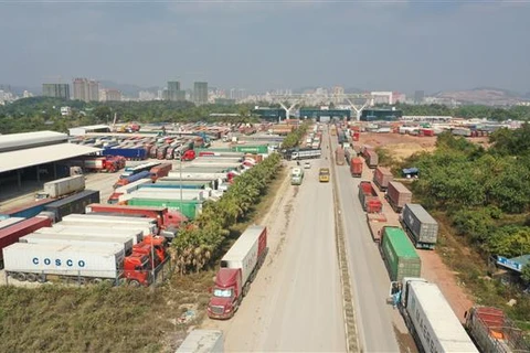 Hoạt động xuất nhập khẩu tại cửa khẩu Móng Cái vẫn tạm dừng do dịch