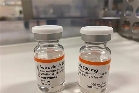 COVID-19: Xuất hiện đột biến kháng thuốc ở bệnh nhân dùng Sotrovimab