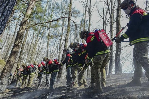 Hàn Quốc dập tắt đám cháy rừng lớn sau hơn 8 ngày bùng phát