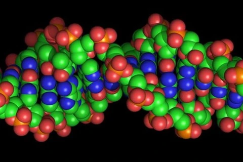 Lần đầu giải mã thành công trình tự hoàn chỉnh của một bộ gene người