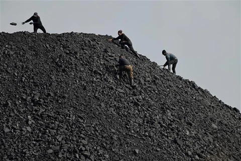 Các nước EU quan ngại về tác động lệnh cấm nhập khẩu than của Nga