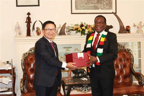 Đại sứ Hoàng Văn Lợi tặng quà lưu niệm Tổng thống Zimbabwe Emmerson Mnangagwa. (Ảnh Đại sứ quán Việt Nam tại Nam Phi/TTXVN phát)