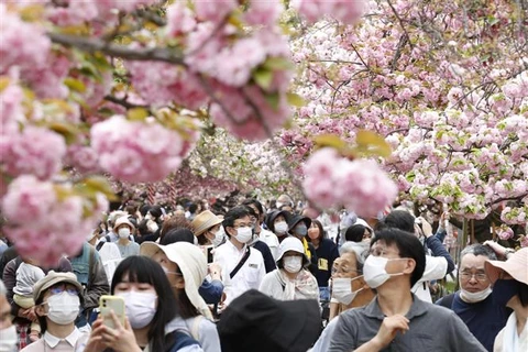 Nhật Bản sẽ mở cửa biên giới đón du khách từ tháng 6
