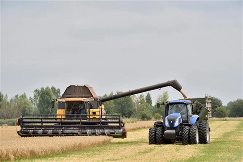 Romania giúp Ukraine đẩy nhanh việc xuất khẩu ngũ cốc