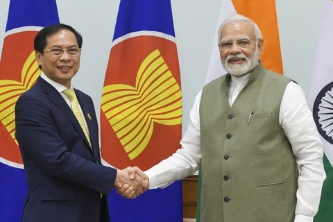 Việt Nam-Ấn Độ đẩy mạnh hợp tác song phương hiệu quả và thực chất