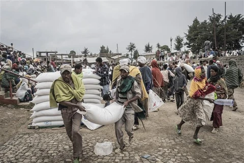 EU kêu gọi viện trợ cho nước bị ảnh hưởng khủng hoảng lương thực
