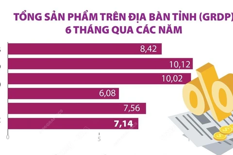 [Infographics] Lào Cai: GRDP 6 tháng đầu năm 2022 tăng 7,14%
