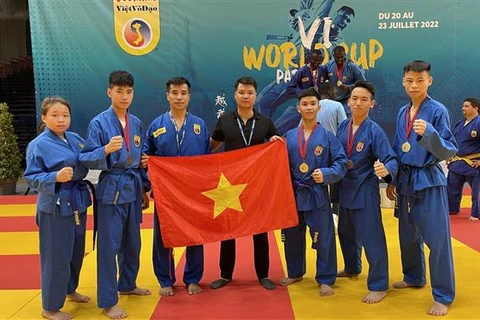 Sôi động giải vô địch thế giới Vovinam - Việt Võ Đạo tại Pháp