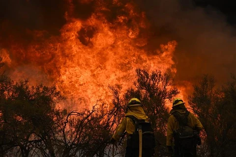 Mỹ: Cháy rừng tiếp tục lan rộng ở vùng núi miền Trung bang California