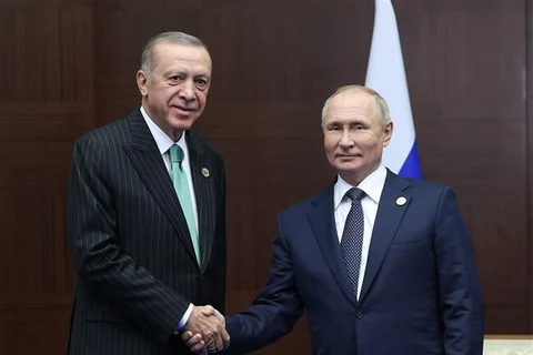 Thổ Nhĩ Kỳ ủng hộ đề xuất lập trung tâm khí đốt quốc tế của Nga 