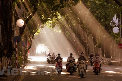 Khu vực Bắc Bộ ngày nắng, Thanh Hóa đến Khánh Hòa đêm có mưa