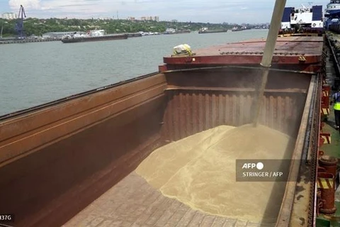 Nga: Có tiến triển tích cực về gia hạn thỏa thuận xuất khẩu ngũ cốc