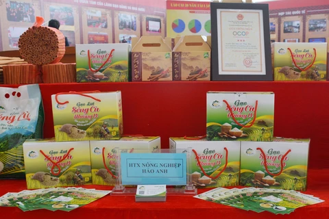 Nhiều tỉnh, thành của Việt Nam dự hội chợ Trung Quốc-Nam Á lần thứ 6 