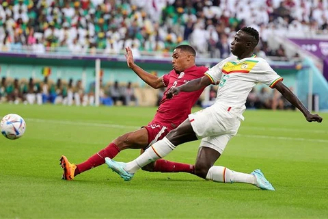 World Cup 2022: Bảng A - Qatar nỗ lực cho trận đấu cuối với Hà Lan 
