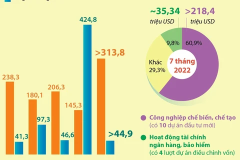 Việt Nam đầu tư ra nước ngoài gần 360 triệu USD 7 tháng năm 2022
