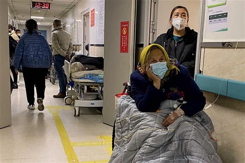 COVID-19: Trung Quốc cấp phép sử dụng có điều kiện thuốc Molnupiravir