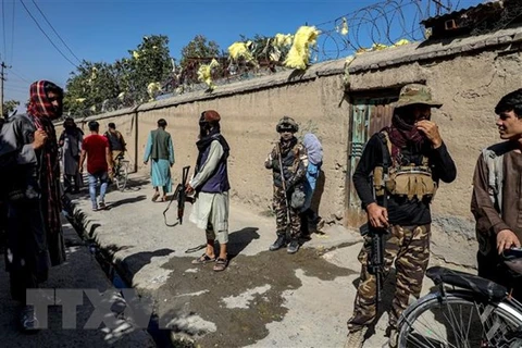 Taliban xác nhận tiêu diệt nhiều phần tử khủng bố IS tại Afghanistan