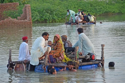 LHQ kêu gọi đầu tư lớn để hỗ trợ Pakistan khắc phục hậu quả lũ lụt 