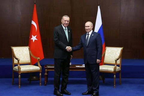 Nga và Thổ Nhĩ Kỳ ưu tiên hợp tác trong lĩnh vực năng lượng