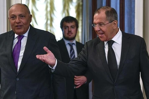 Ai Cập kêu gọi giải pháp chính trị cho cuộc xung đột Nga-Ukraine