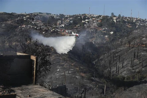 Chile ban bố tình trạng thảm họa do cháy rừng sau đợt nắng nóng 