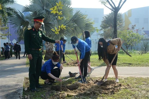 Chỉ thị số 03: Góp sức trồng 1 tỷ cây xanh, vì một Việt Nam xanh