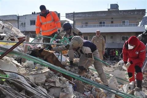 Động đất tại Thổ Nhĩ Kỳ, Syria: Việt Nam sẵn sàng bảo hộ công dân 