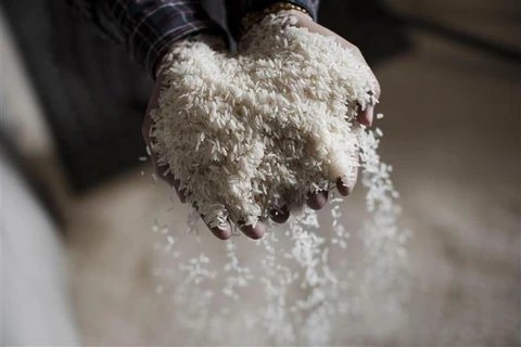 Thị trường nông sản thế giới: Giá gạo Thái giảm do đồng baht suy yếu
