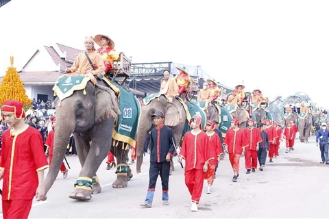 Ấn tượng với lễ hội voi Xayaboury lớn nhất của đất nước Lào