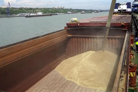 WFP cảnh báo hậu quả khi nguồn cung ngũ cốc từ Nga, Ukraine bị ngừng