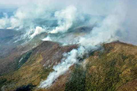 “Giặc lửa” thiêu rụi gần 3.600ha rừng ở miền Đông Cuba