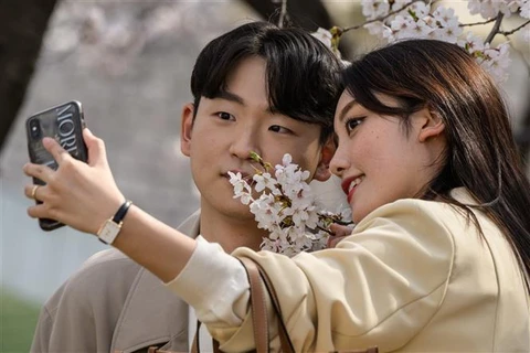 Giới trẻ Hàn Quốc ngày càng chấp nhận các mối quan hệ phi truyền thống