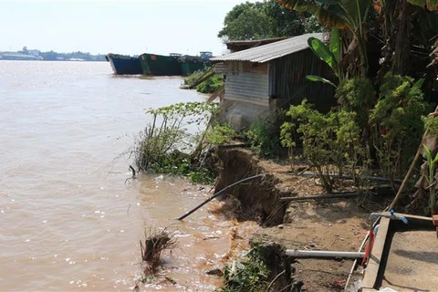 Bến Tre công bố tình huống khẩn cấp tình trạng sạt lở sông Mỏ Cày