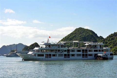 Quảng Ninh đưa du thuyền từ vịnh Hạ Long về khai thác trên Bái Tử Long