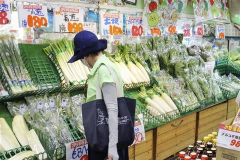 Kinh tế Nhật Bản phục hồi nhẹ song cảnh báo bất ổn trên thị trường