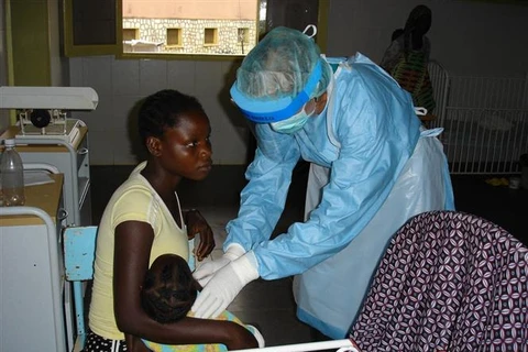 Guinea Xích đạo báo cáo chính thức về số ca nhiễm virus Marburg