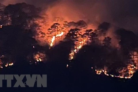 Lâm Đồng khen thưởng tập thể, cá nhân khống chế đám cháy hơn 10ha rừng