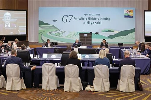 G7 kêu gọi tuân thủ đầy đủ, mở rộng phạm vi thỏa thuận về ngũ cốc 