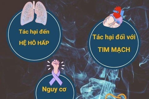 [Infographics] Những tác hại của thuốc lá điện tử, thuốc lá nung nóng