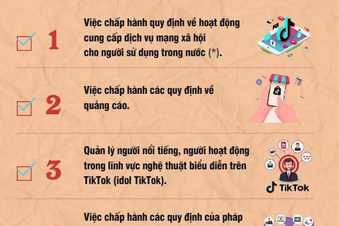 [Infographics] Tám vấn đề chính TikTok Việt Nam sẽ bị kiểm tra