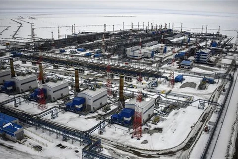 Nga gia hạn cắt giảm sản lượng dầu tự nguyện đến cuối năm 2024