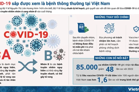 [Infographics] COVID-19 sắp được xem là bệnh thông thường tại Việt Nam