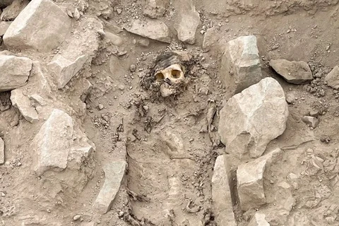 Các nhà khảo cổ học Peru công bố về phát hiện xác ướp ở Lima