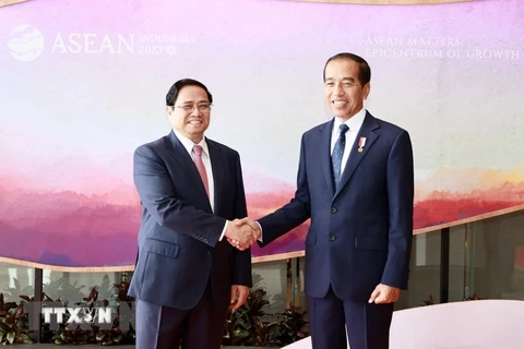 Nhà báo Indonesia đề cao chính sách 'ngoại giao cây tre' của Việt Nam