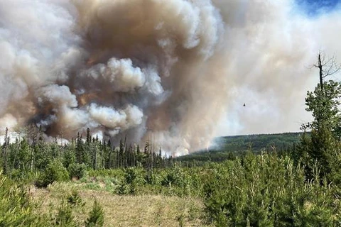 Khói từ các vụ cháy rừng ở Canada gây ô nhiễm không khí tại Mỹ