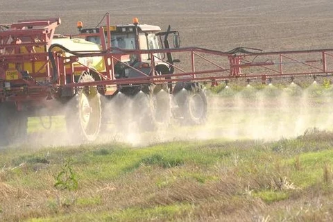 Không có lo ngại lớn khi tái cấp phép cho hóa chất diệt cỏ glyphosate