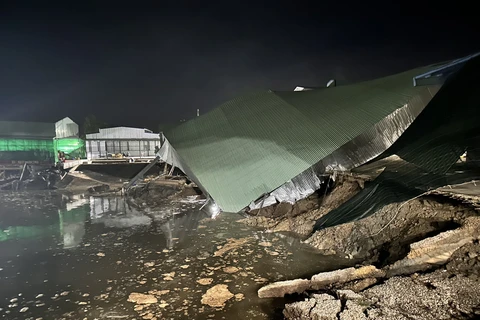 Bạc Liêu: Sạt lở đất nghiêm trọng tại Đông Hải, thiệt hại 5 tỷ đồng
