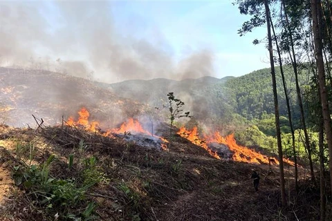 Nghệ An: Hàng trăm người nỗ lực khống chế đám cháy rừng trong đêm